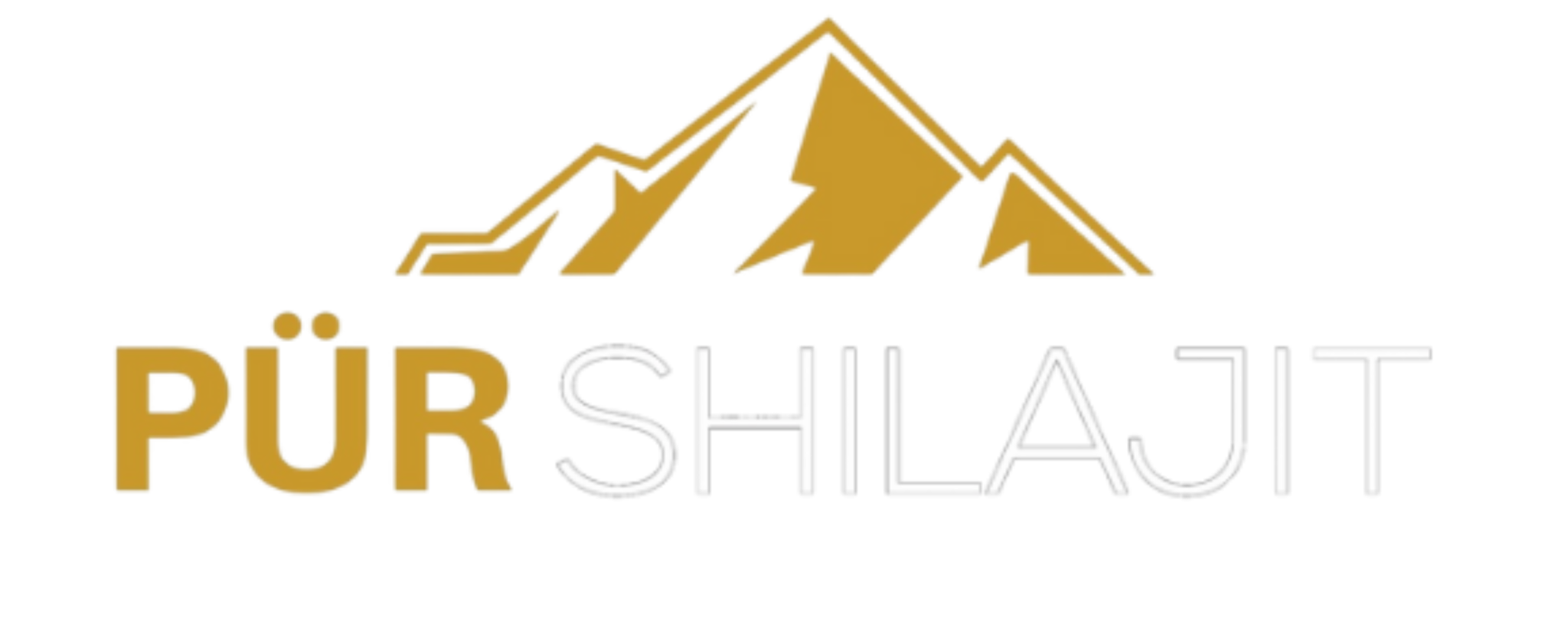 Logo 6